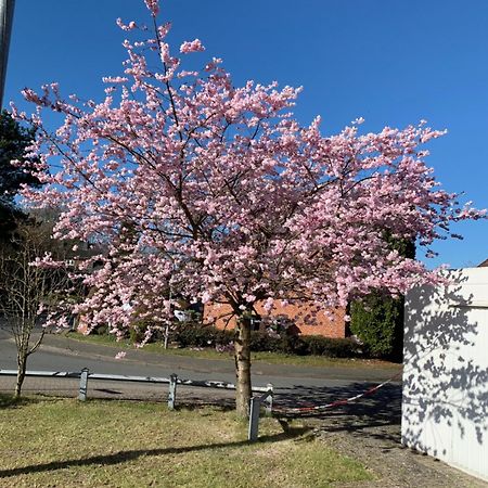 Holiday In Der Lueneburger Heide 比斯平根 外观 照片