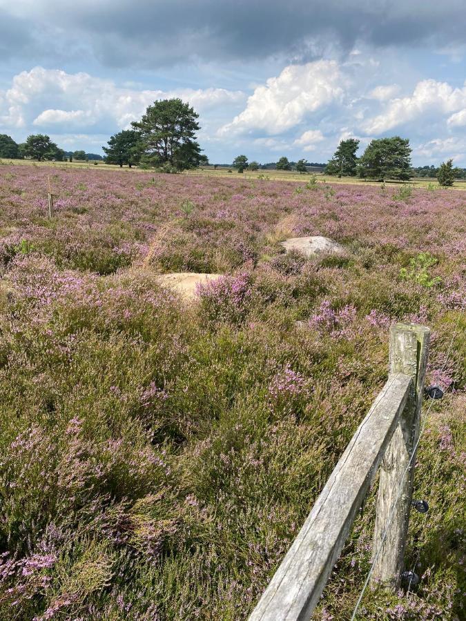 Holiday In Der Lueneburger Heide 比斯平根 外观 照片