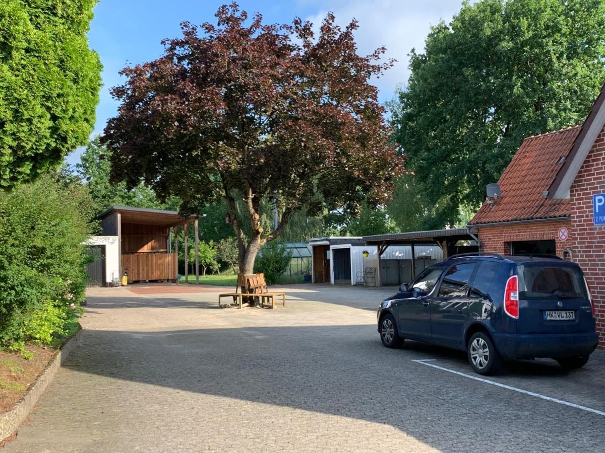 Holiday In Der Lueneburger Heide 比斯平根 外观 照片
